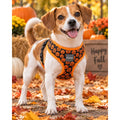 FuzzYard Pumpkin Print Dog Harness – Black & Orange Halloween Size Small - Image 1