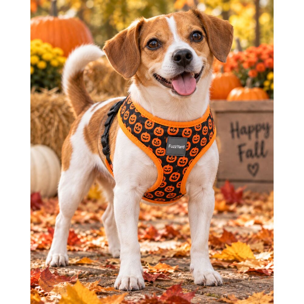 FuzzYard Pumpkin Print Dog Harness – Black & Orange Halloween Size Small - Image 1