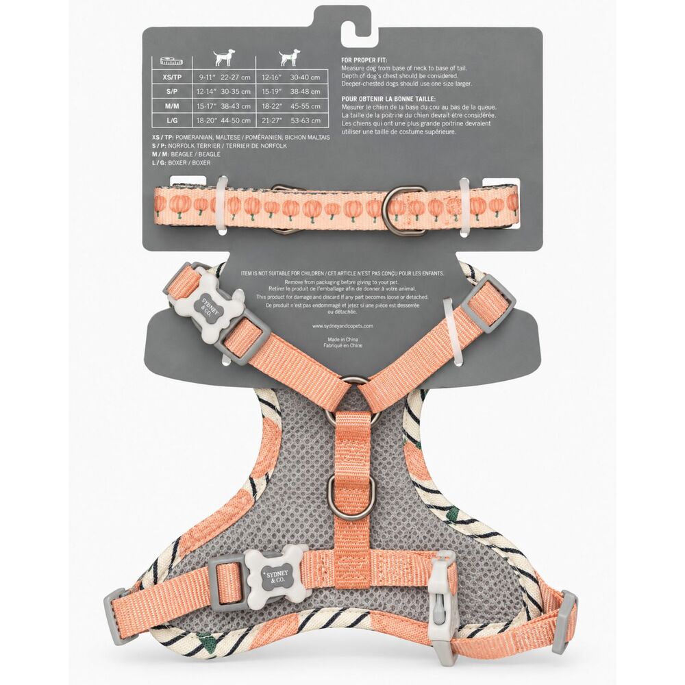 Sydney & Co. Pumpkin Print Dog Harness & Leash Set – Pet Walking Set, Size S/P - Image 3